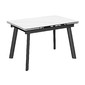 Стол Татами-2С 120 керамика White marble, черный